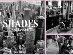 SHADES de David DREGER : un très beau livre photo en édition limitée, numérotée et signée, qui invite à découvrir une autre facette de New York