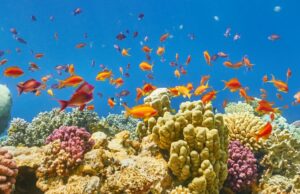 Égypte, destination culturelle les pieds dans l’eau