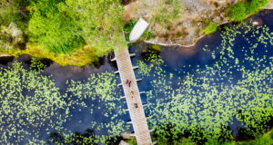Suède : l’appel des forêts mystiques
