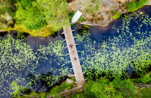 Suède : l’appel des forĂŞts mystiques