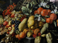 BOUTEILLE ET HOUSSE ISOTHERME FRUITS ET FLEURS