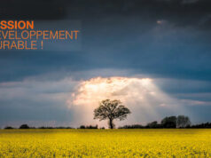 LEDVANCE / Ampoules Luminaires