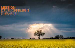 LEDVANCE / Ampoules Luminaires