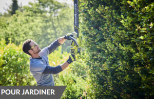 Ryobi® lance 6 nouveaux outils dans sa gamme 18V ONE+™pour l’entretien des arbres, haies et végétaux.