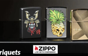 L’Ă©tĂ© vitaminĂ© avec Zippo