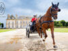 L’ICONIQUE MAISON POURSIN AU SERVICE DU HARNACHEMENT DES CHEVAUX DEPUIS 1830 POURSUIT SA PRODUCTION DE PIÉCES D’EXCEPTION EN LAITON