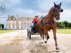 L’ICONIQUE MAISON POURSIN AU SERVICE DU HARNACHEMENT DES CHEVAUX DEPUIS 1830 POURSUIT SA PRODUCTION DE PIÉCES D’EXCEPTION EN LAITON
