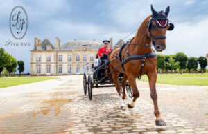 L’ICONIQUE MAISON POURSIN AU SERVICE DU HARNACHEMENT DES CHEVAUX DEPUIS 1830 POURSUIT SA PRODUCTION DE PIĂCES D’EXCEPTION EN LAITON