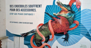 Street art : un immense crocodile s’affiche dans le Marais pour protester contre Hermès avant la Paris Fashion Week