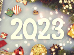 Que va-t-on mettre sous le sapin ?