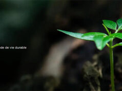 TCL Smartphones TCL series 40, TCL NXTPAPER, Tablettes, Audio