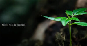 TCL Smartphones TCL series 40, TCL NXTPAPER, Tablettes, Audio