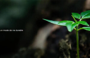 TCL Smartphones TCL series 40, TCL NXTPAPER, Tablettes, Audio