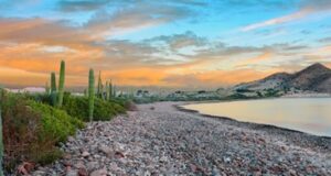 Basse-Californie : “l’autre Mexique” 100% nature