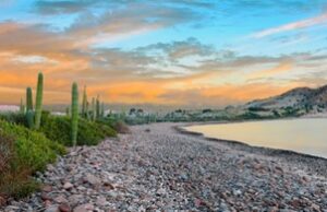 Basse-Californie : “l’autre Mexique” 100% nature