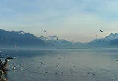 Balade hivernale au bord du lac Léman
