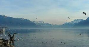Balade hivernale au bord du lac Léman