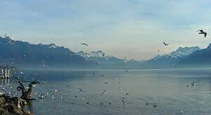 Balade hivernale au bord du lac Léman