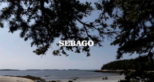 SEBAGO – La mythique chaussure bateau
