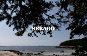 SEBAGO – La mythique chaussure bateau