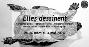 Elles dessinent …