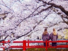 Kinosaki Onsen : découvrez les merveilles du Japon