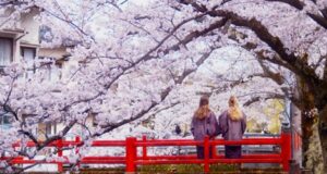 Kinosaki Onsen : découvrez les merveilles du Japon