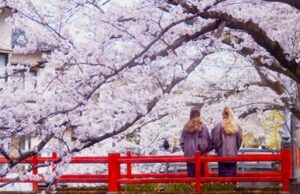 Kinosaki Onsen : découvrez les merveilles du Japon