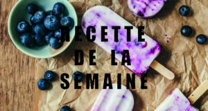 BĂTONNETS GLACĂS AUX MYRTILLES