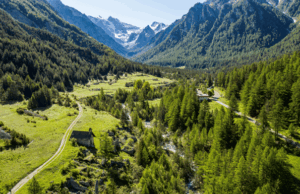 DÉCOUVERTE DU VAL D’ESCREINS : UN TRÉSOR NATUREL À VARS