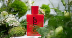 « NUANCES DE ROSES »