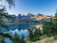 Val d’Allos : randonnées et activités pour observer les animaux
