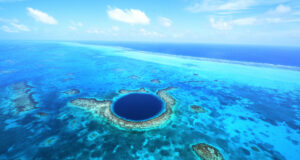 BELIZE : Où observer des Lamantins ?