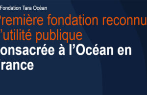 Agnès b. : connaissez-vous la fondation Tara Océan ?