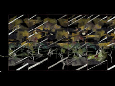 Boris Labbé Ito Meiky / Fil d’errance