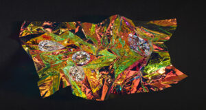 Natural Diamond Council – Expo Photo Big Bang avec Sonia Sieff