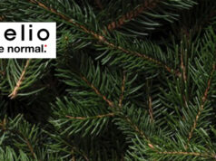 Celio – les pulls de Noël sont de retour – à shopper absolumment avant les fêtes !