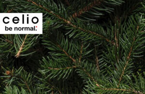 Celio – les pulls de Noël sont de retour – à shopper absolumment avant les fêtes !