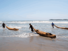 Lambayeque : trésor ancestral du nord péruvien