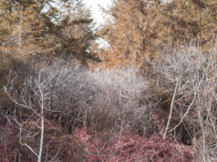 Orbis Terrarum Une exposition de Benjamin Deroche