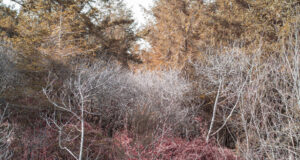 Orbis Terrarum Une exposition de Benjamin Deroche