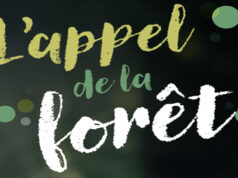 L’appel de la forêt – 6 produits pour le bien-être inspirés par les arbres