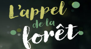 L’appel de la forêt – 6 produits pour le bien-être inspirés par les arbres