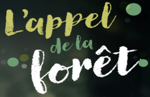 L’appel de la forêt – 6 produits pour le bien-être inspirés par les arbres