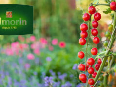 VILMORIN présente ses KITS JARDINAGE // Nouveautés 2025