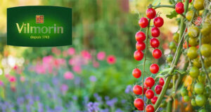 VILMORIN présente ses KITS JARDINAGE // Nouveautés 2025