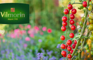 VILMORIN présente ses KITS JARDINAGE // Nouveautés 2025