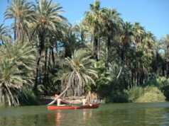Basse Californie : l’autre Mexique résolument différent.