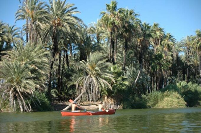 Basse Californie : l’autre Mexique résolument différent.