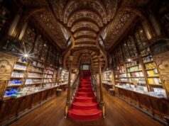 7 bibiothèques à découvrir